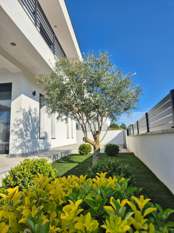 Exterior, Villa Olivia with a heated pool and jacuzzi, Zaton, Dalmatia, Croatia Zaton